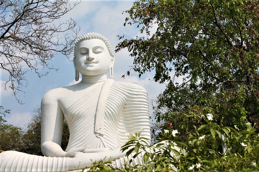 White buddha statue in lotus position in nature